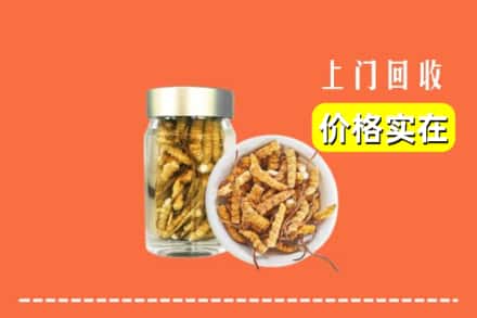 收购资讯:焦作市沁阳回收散虫草