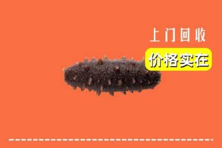 收购资讯:焦作市沁阳回收海参