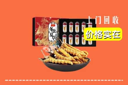 焦作市沁阳回收虫草